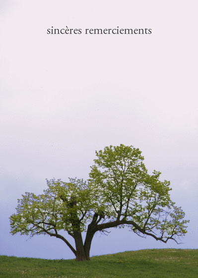Sinc&egrave;res remerciements avec un arbre